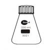 Borosil Erl Flasks Glass