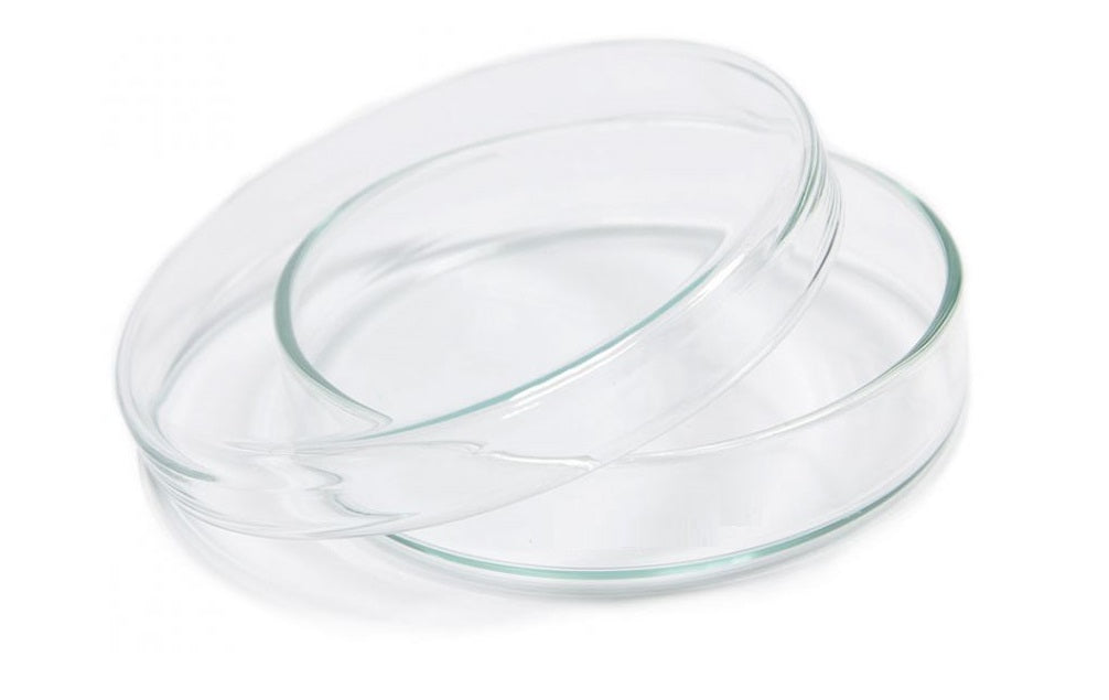Borosil Dish petri 50 x 17mm 