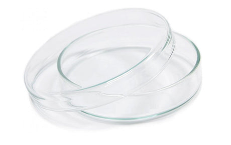 Borosil Dish petri 50 x 17mm 
