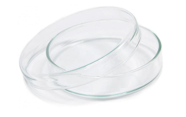 Borosil Dish petri 50 x 17mm 