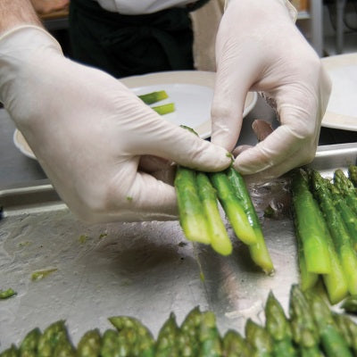 Latex Gloves Powder Free