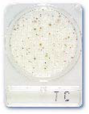 Compact Dry Total Count (TC) Test Kit