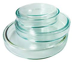 Petri Dish Glass