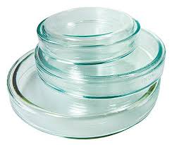 Petri Dish Glass